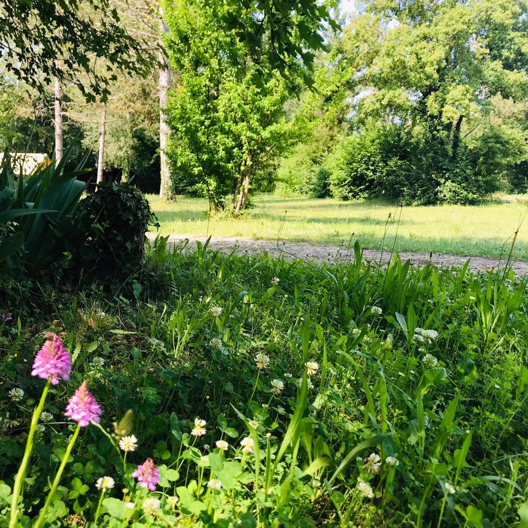 Camping La Vaugelette - Drome Montclar-sur-Gervanne Bagian luar foto